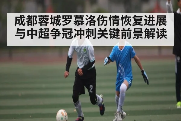 成都蓉城罗慕洛伤情恢复进展与中超争冠冲刺关键前景解读