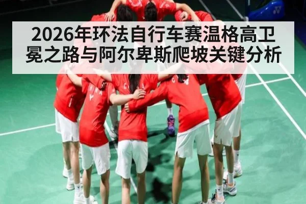 2026年环法自行车赛温格高卫冕之路与阿尔卑斯爬坡关键分析